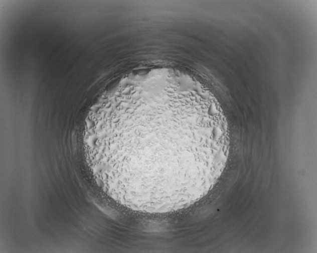 X0000082140165200702162152