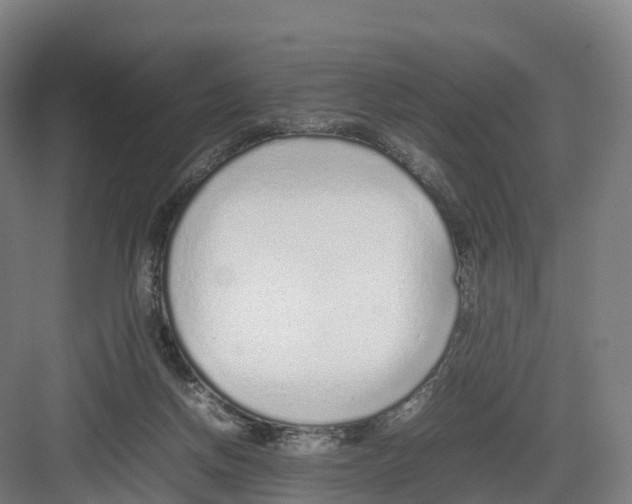 X0000082140166200702162152