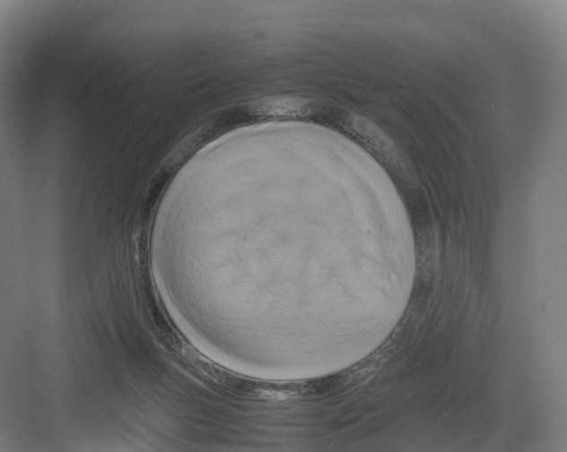 X0000082140167200702162152