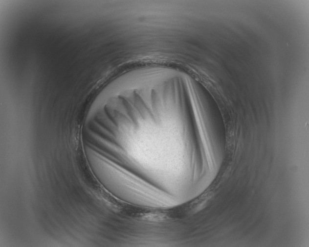 X0000082140168200702162152