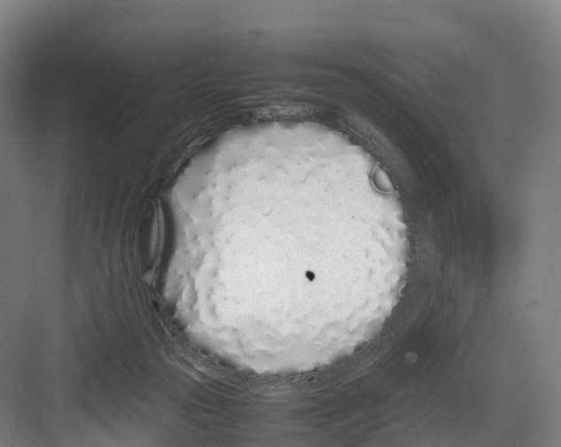 X0000082140169200702162152