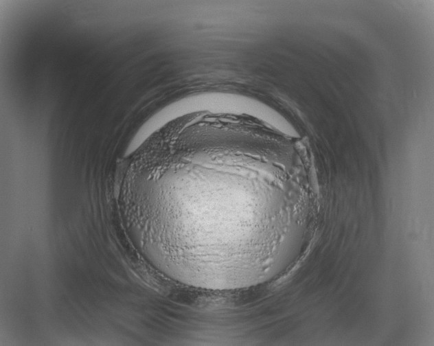 X0000082140170200702162152