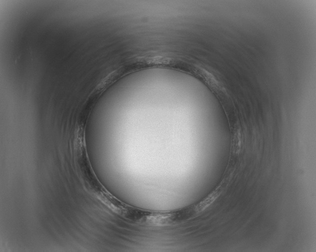 X0000082140172200702162152