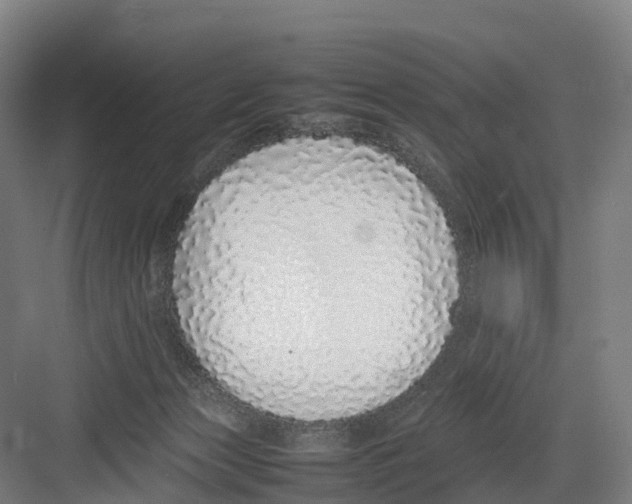 X0000082140173200702162152