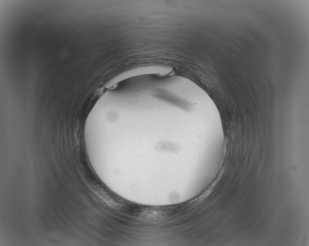 X0000082140174200702162152