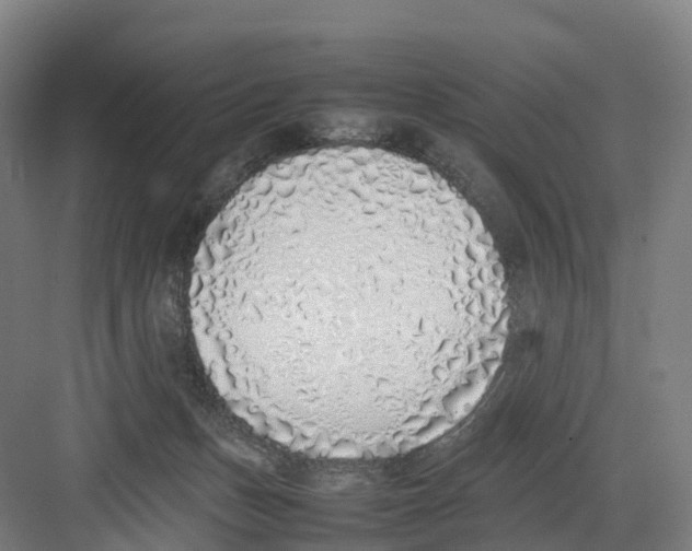 X0000082140175200702162152