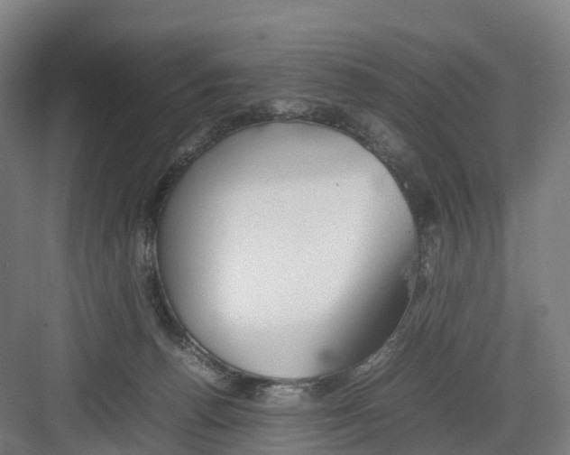 X0000082140176200702162152