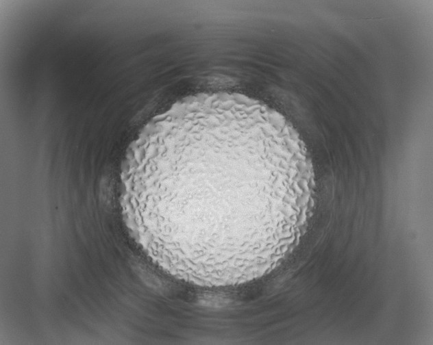 X0000082140177200702162152