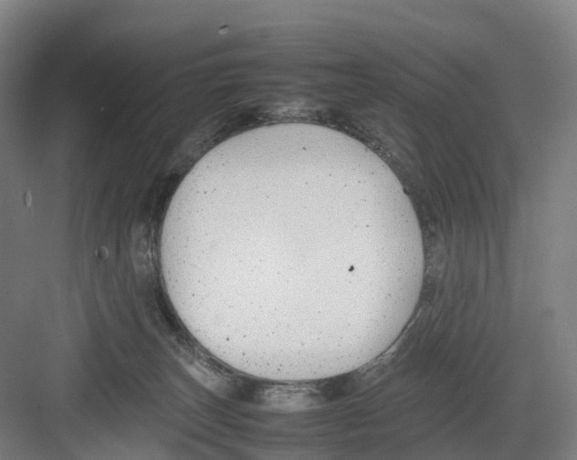 X0000082140179200702162152