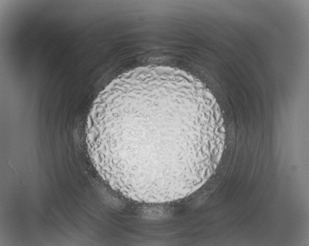 X0000082140181200702162152