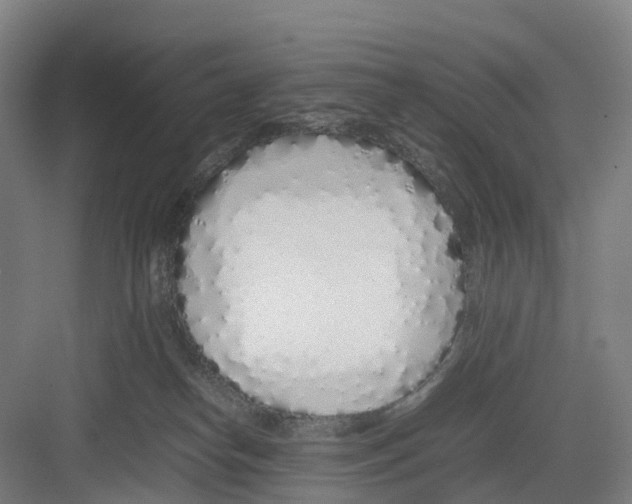 X0000082140182200702162152