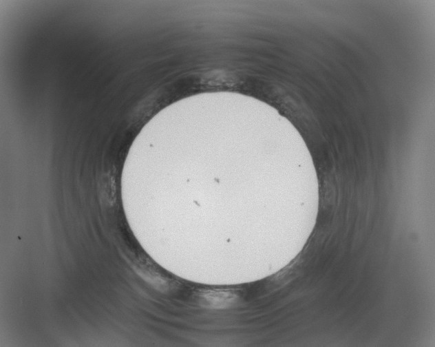 X0000082140183200702162152