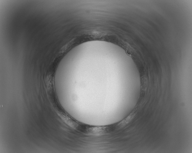 X0000082140184200702162152