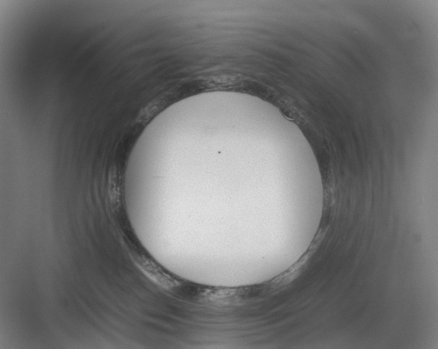 X0000082140186200702162152