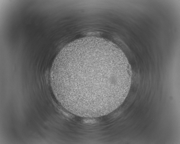 X0000082140189200702162152