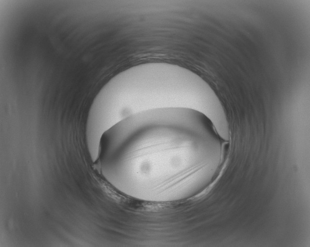 X0000082140190200702162152