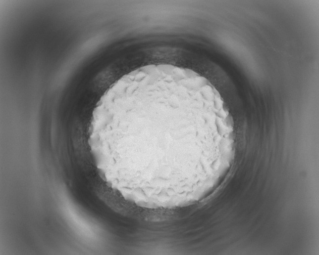 X0000082140191200702162152