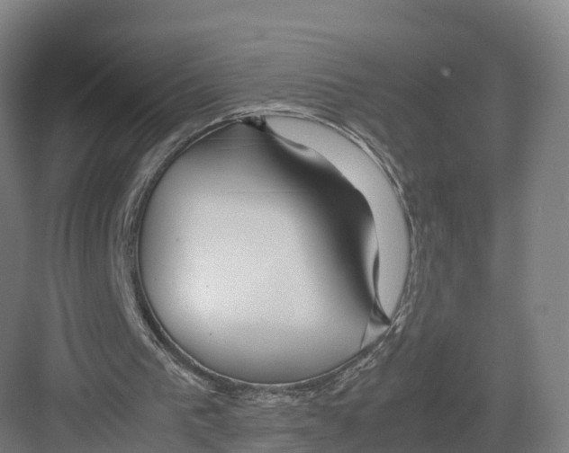 X0000082140193200702162151