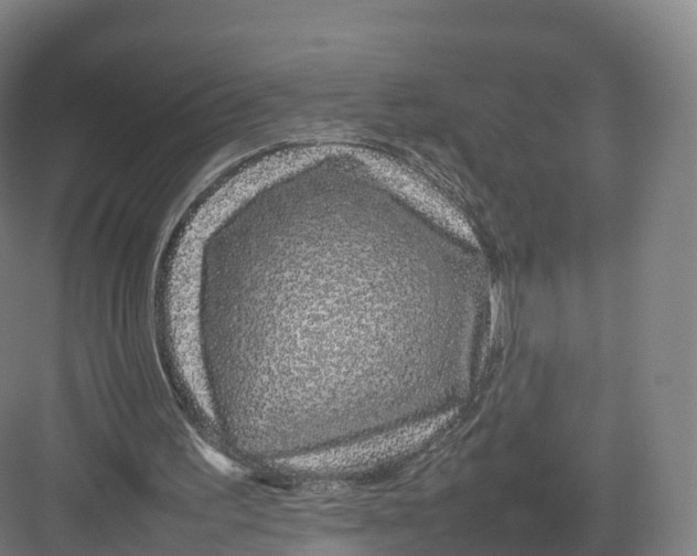 X0000082140195200702162151