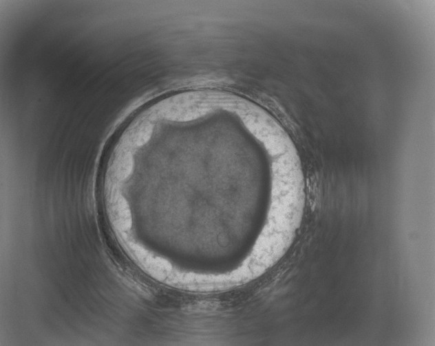 X0000082140196200702162151