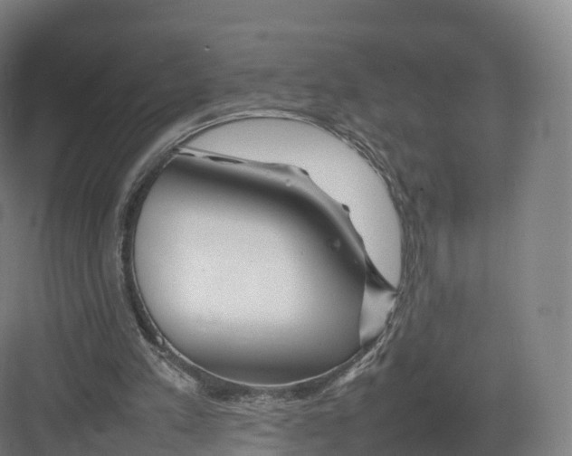 X0000082140197200702162151