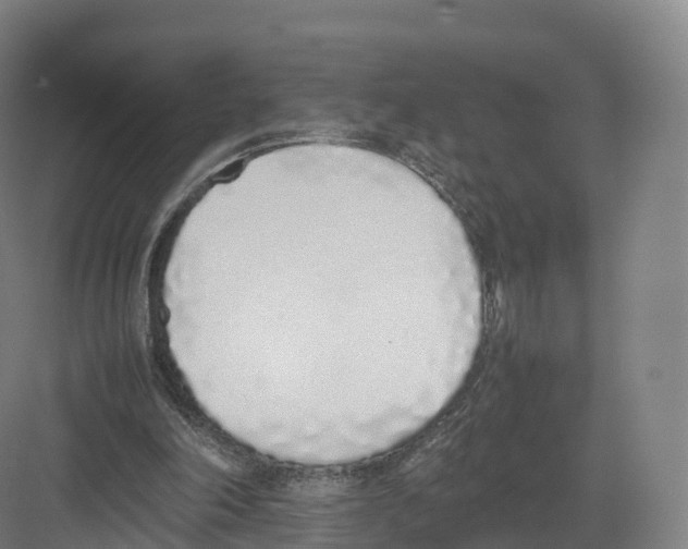 X0000082140198200702162151