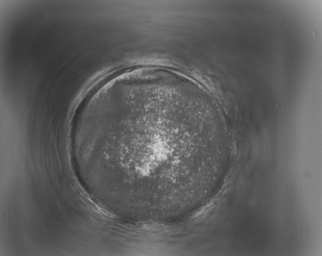 X0000082140199200702162151