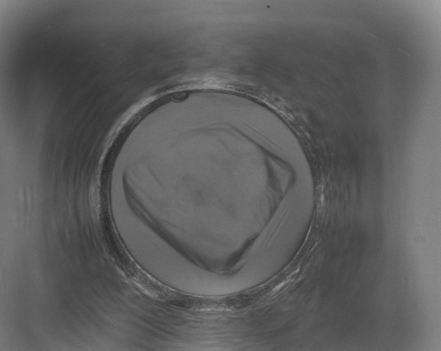 X0000082140200200702162151