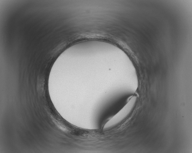 X0000082140201200702162151