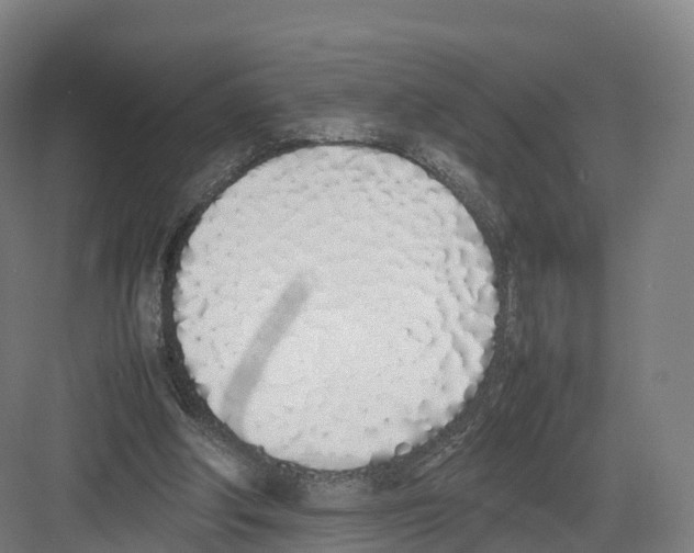 X0000082140202200702162151