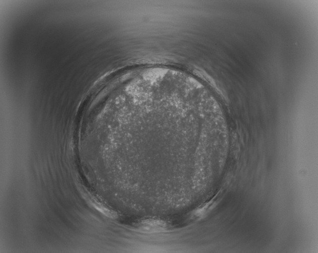 X0000082140203200702162151