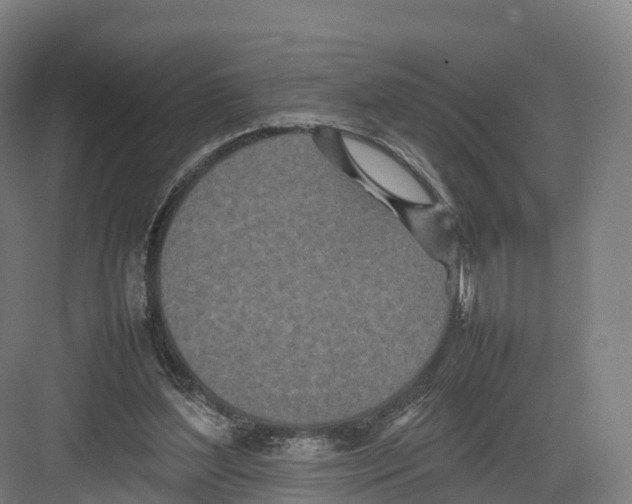 X0000082140204200702162151