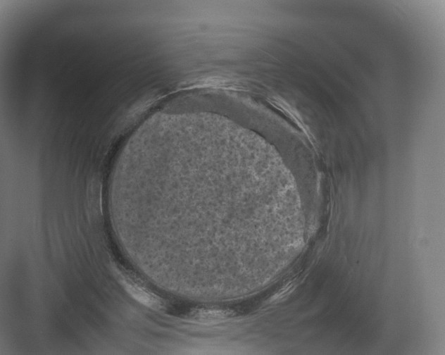 X0000082140205200702162151