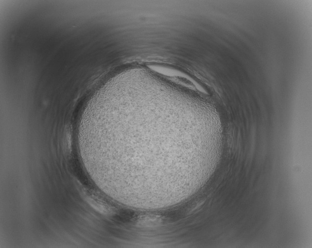 X0000082140206200702162151