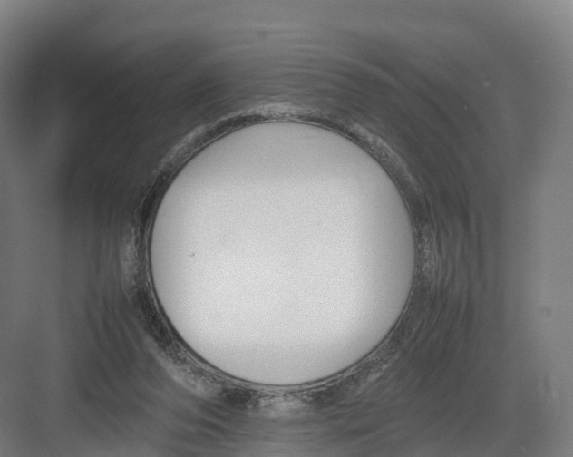 X0000082140208200702162151