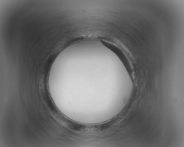 X0000082140209200702162151