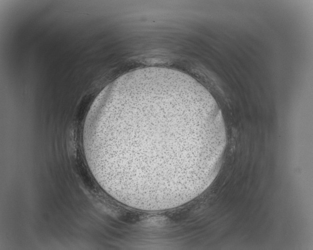 X0000082140210200702162151