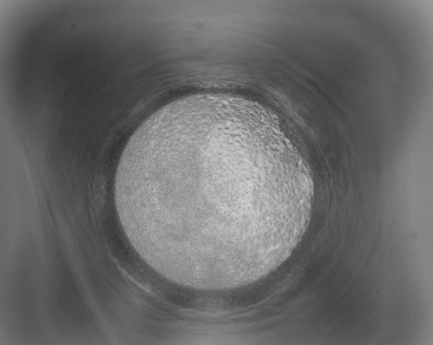 X0000082140211200702162151