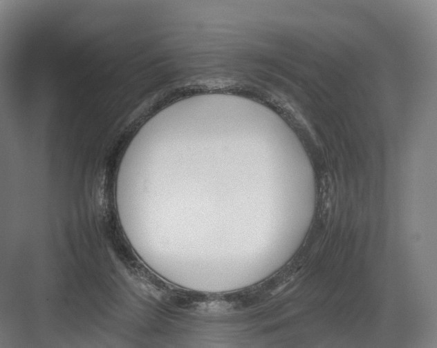 X0000082140212200702162151