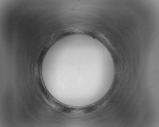 X0000082140213200702162151