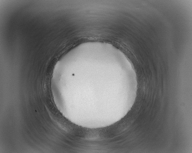 X0000082140214200702162151