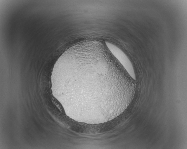 X0000082140215200702162151