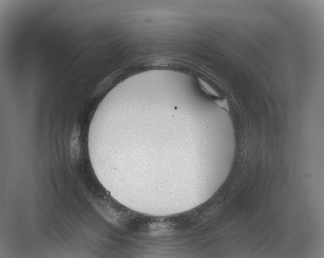 X0000082140216200702162151