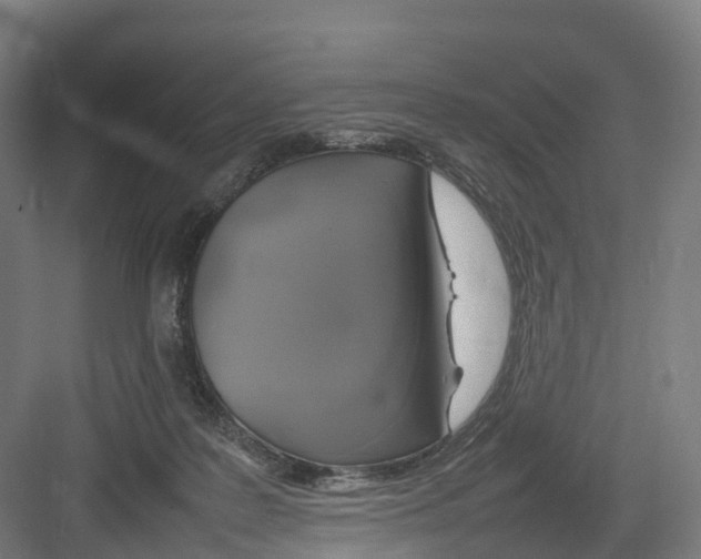 X0000082140219200702162151