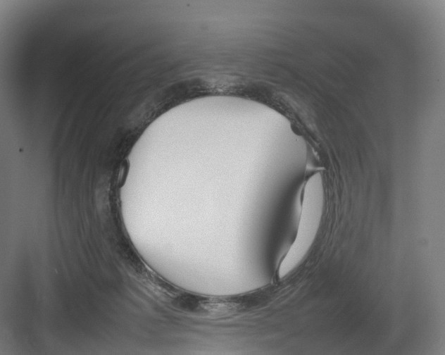 X0000082140221200702162151