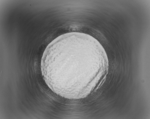 X0000082140222200702162151