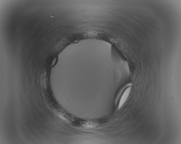 X0000082140223200702162151