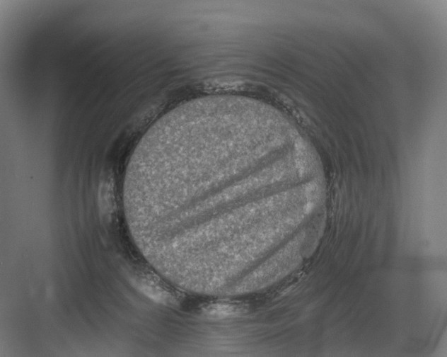 X0000082140224200702162151