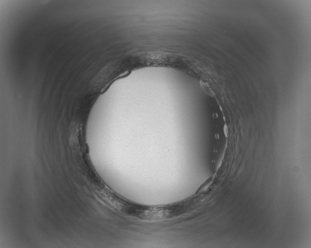 X0000082140225200702162151