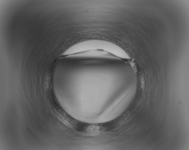 X0000082140227200702162151